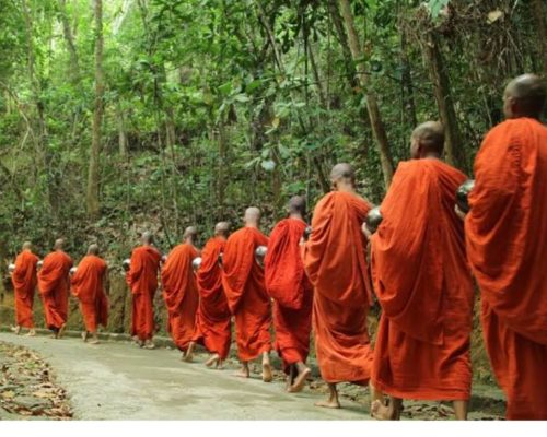 WhatsApp Image 2026-05-18 at 22.10.49 (1)